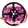 Tira Led 12V DC 24W 60 LED/m Rollo 5m IP20 Pancy SMD3528