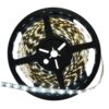 Tira Led 24V DC 72W 60 LED/m Rollo 5M IP20 PANCY SMD5050