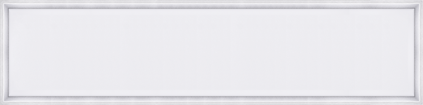 Panel Led 39W 1195x295Mm 4290Lm Rectangular IP44 Electra